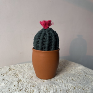 Handmade Macrame Cactus Plant with Flower