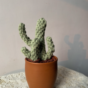 Handmade Macrame Cactus